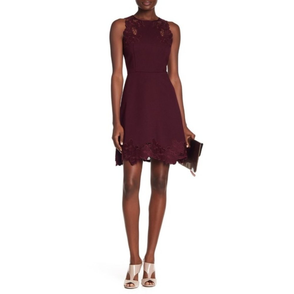 Ted Baker Verita Embroidered Skater Dress Maroon